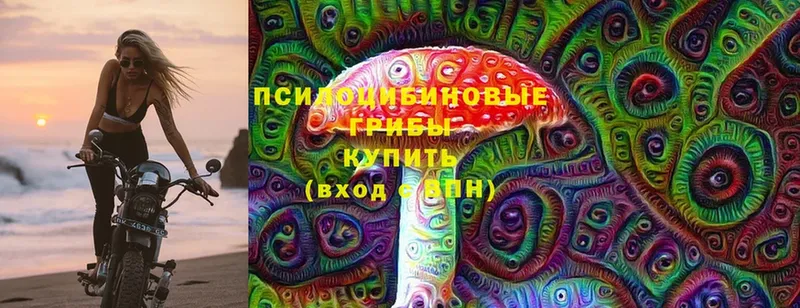 Псилоцибиновые грибы прущие грибы  Котельниково 